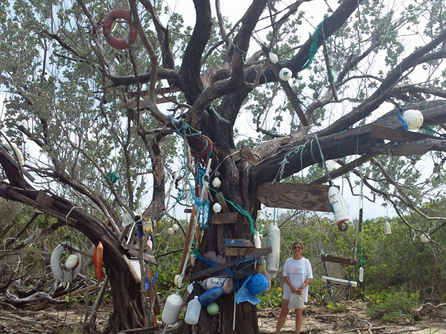 Powell Cay Message Tree