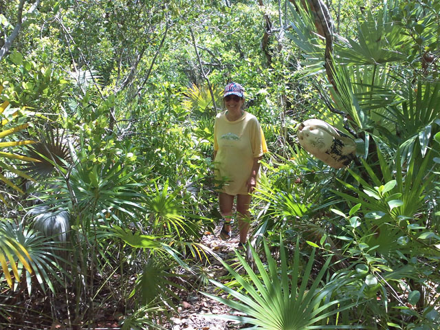Interior Trail on Powell Cay