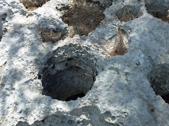 Coral Formations at Cormorant Cay