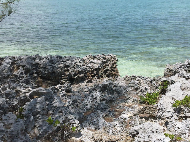 Cormorant Cay Beach