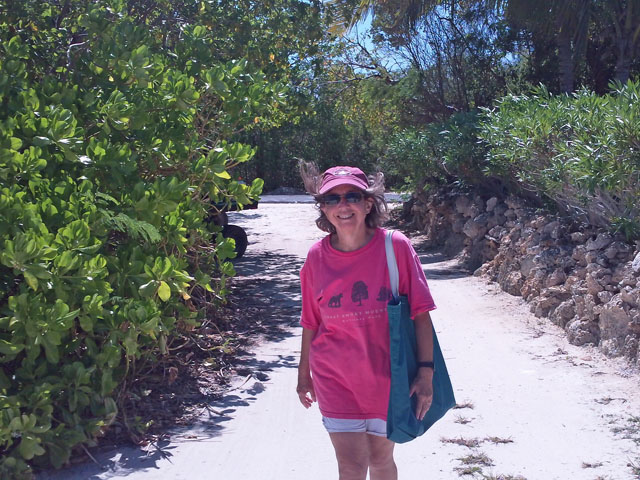 Green Turtle Hike