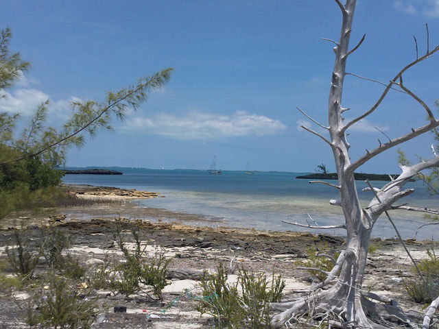 View from Cove South of Bucaroon Anchorage