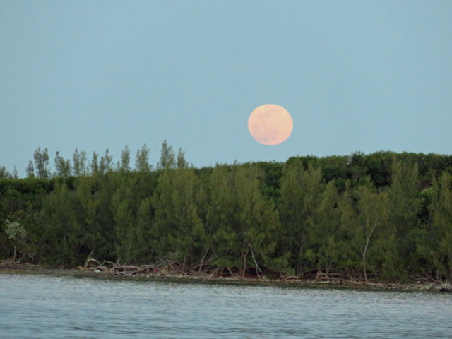 Moonrise over Spencer's Point
