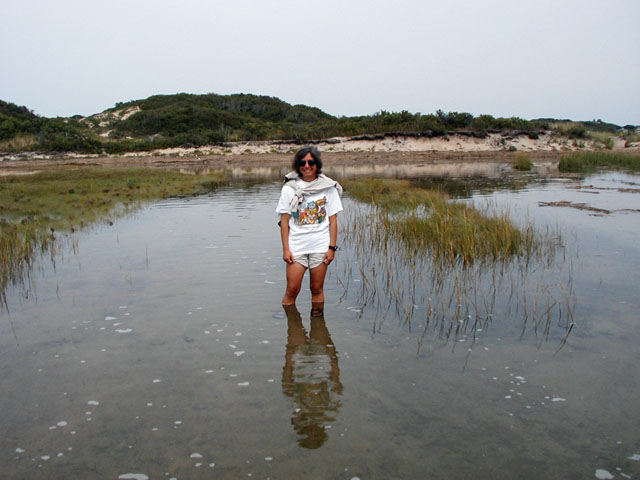 Crossing the Marsh to &quot;The Beach&quot;