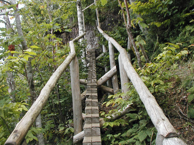 Bridge on Jordan Cliff Trail