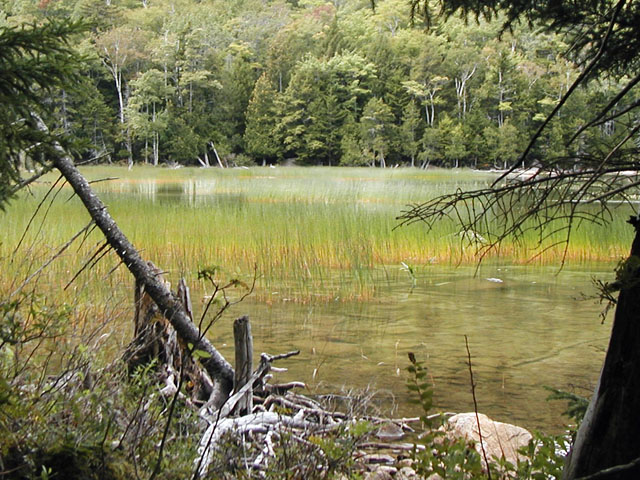 Eagle Lake Marsh