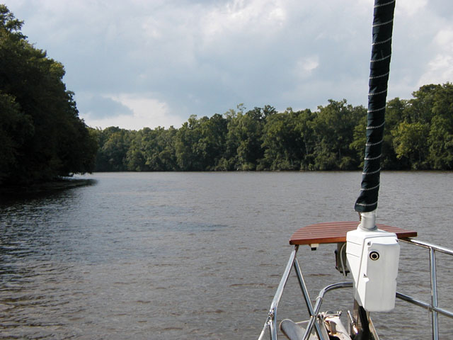 Bull Creek, Waccamaw River SC