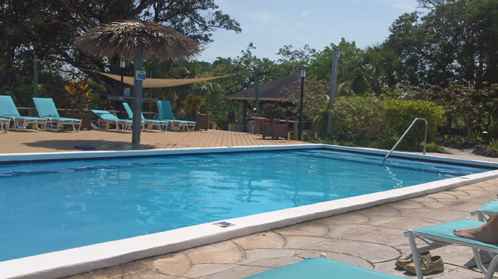 Green Turtle Club Pool
