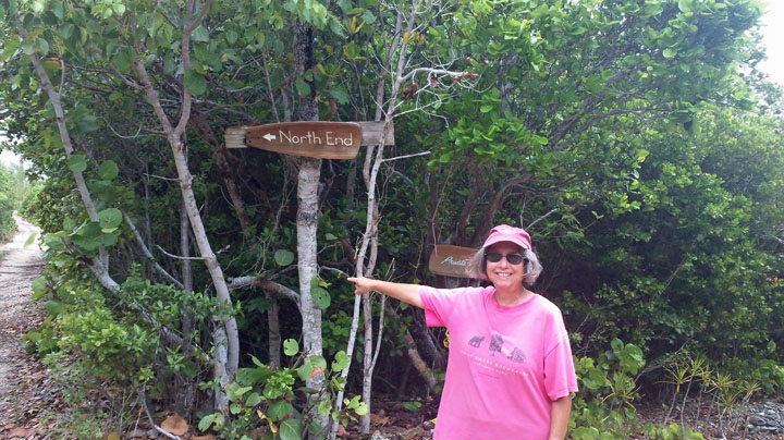 North End Road from Coco Beach