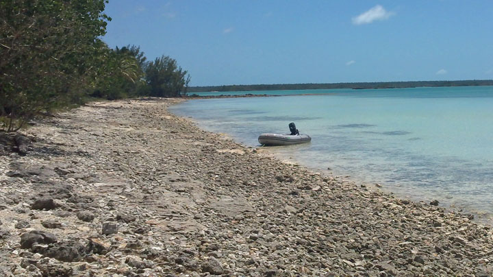 Crab Cay Rocky Beach