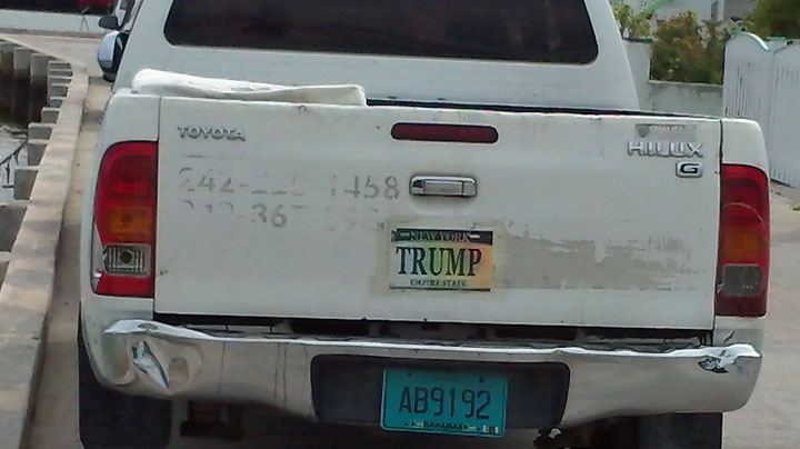 Trump Fan